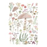 Card - Pastel Mushrooms by Anna Pignataro