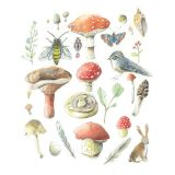 Card - Mushrooms, Leaves, Feathers, Bugs & Bunny by Anna Pignataro