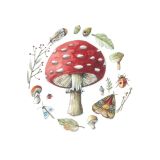 Card - Red Spotty Mushroom by Anna Pignataro