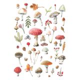 Card - Autumn Mushrooms by Anna Pignataro