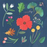 Card - S Seasonal Blooms by Cat MacInnes