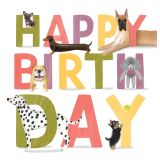 Card - Birthday Dogs by Cat MacInnes