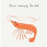 Card - You're Shrimply The Best by Cat MacInnes