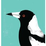 Card - Magpie by Cat MacInnes