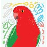 Card - Colourful Parrot by Cat MacInnes