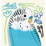 Card - Colourful Budgie by Cat MacInnes