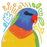 Card - Colourful Rainbow Lorikeet by Cat MacInnes