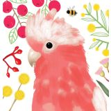 Card - Pink Galah by Cat MacInnes