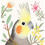 Card - Cockatiel by Cat MacInnes