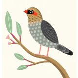 Card - Grey Bird S by Cat MacInnes