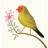 Card - Yellow Bird by Cat MacInnes