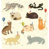 Card - Confetti Cats by Cat MacInnes