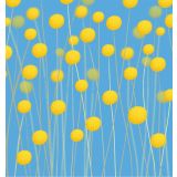 Card - Billy Buttons by Cat MacInnes