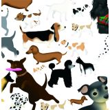Card - Love Dogs by Cat MacInnes