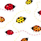Card - S Ladybug Trail by Cat MacInnes