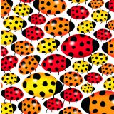 Card - Love Ladybugs by Cat MacInnes