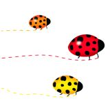 Card - Three Ladybugs by Cat MacInnes