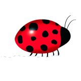 Card - S Red Ladybug by Cat MacInnes