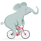 Card - S Bicycle Elephant by Cat MacInnes
