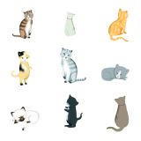 Card - Cat Macinnes - 140mm x 140mm