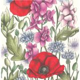 Card - Poppy Flower Garden by Cecilia Battaini