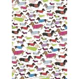 Wrapping Sheets - Dachshund by Cat MacInnes