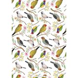 Wrapping Sheets - Finches by Cat MacInnes