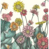 Card - Colourful Daisies by Cecilia Battaini