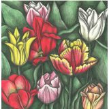 Card - Colourful Tulips by Cecilia Battaini