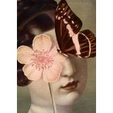 Card - Butterfly & Flower Mask by Catrin