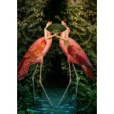 Card - Flamingo Whispers by Catrin