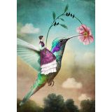 Card - Hummingbird by Catrin