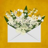 Card - White Floral Envelope by Deb Hudson