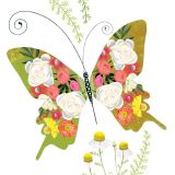 Card - Green Butterfly by Deb Hudson