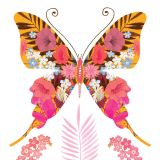 Card - Orange Butterfly by Deb Hudson
