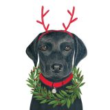 Card - Festive Labrador by Deb Hudson