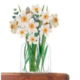 Card - Daffodil In Vase by Deb Hudson