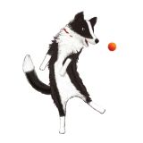 Card - Border Collie and Ball by Deb Hudson