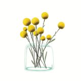 Card - Billy Buttons by Deb Hudson