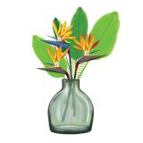 Card - Bird Of Paradise In A Clear Vase by Deb Hudson