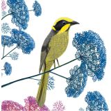 Card - Floral Honeyeater S by Deb Hudson