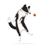 Card - Border Collie and Ball S by Deb Hudson