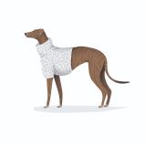 Card - Funky Greyhound by Cat MacInnes