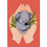 Card - Koala by Eureka