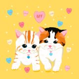 Card - BBF Cats by Emma Whitelaw