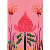 Card - Pink Waratah by Emma Whitelaw