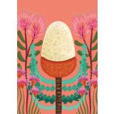 Card - Peach Banksia by Emma Whitelaw