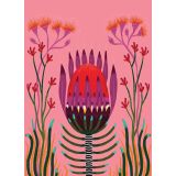 Card - Purple Waratah by Emma Whitelaw