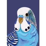 Card - Blue Budgie by Emma Whitelaw