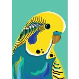 Card - Yellow Budgieby Emma Whitelaw